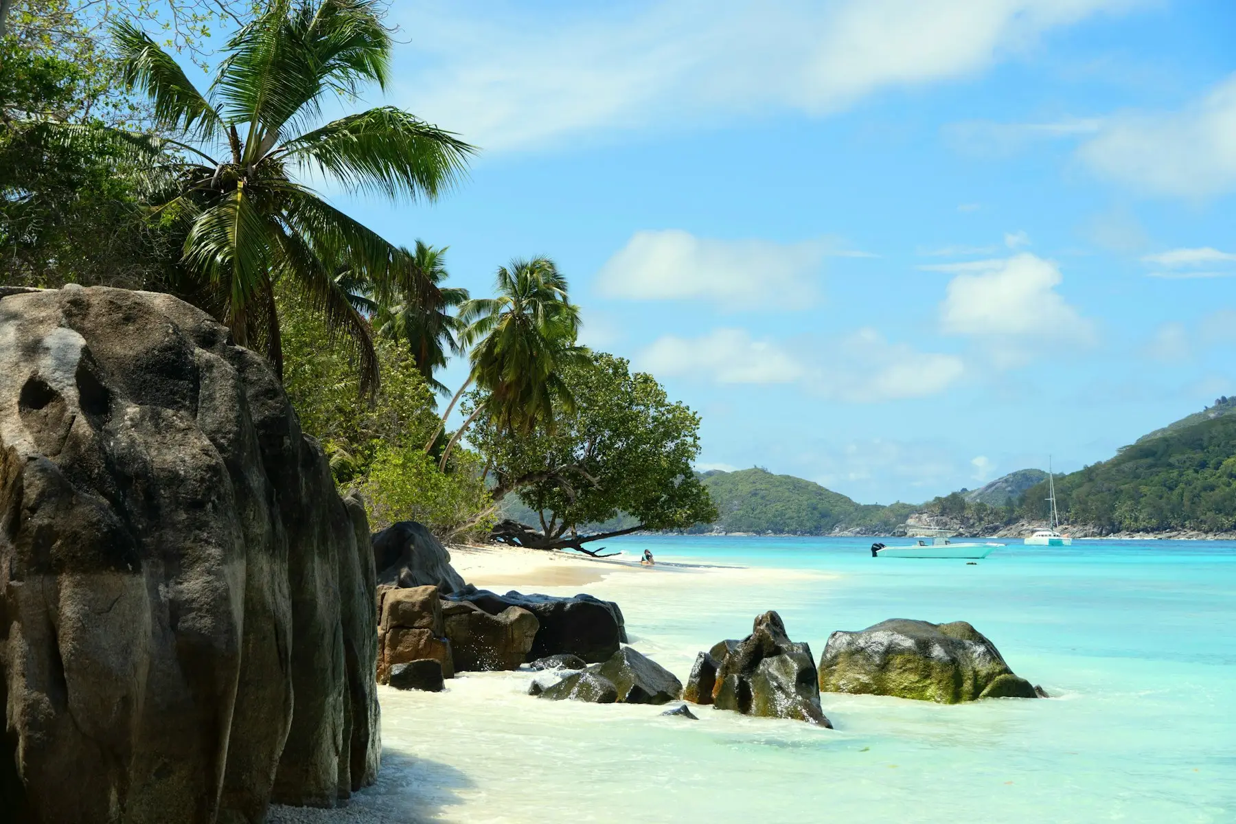 Praia tropical de águas claras, pedras e palmeiras nas Seychelles