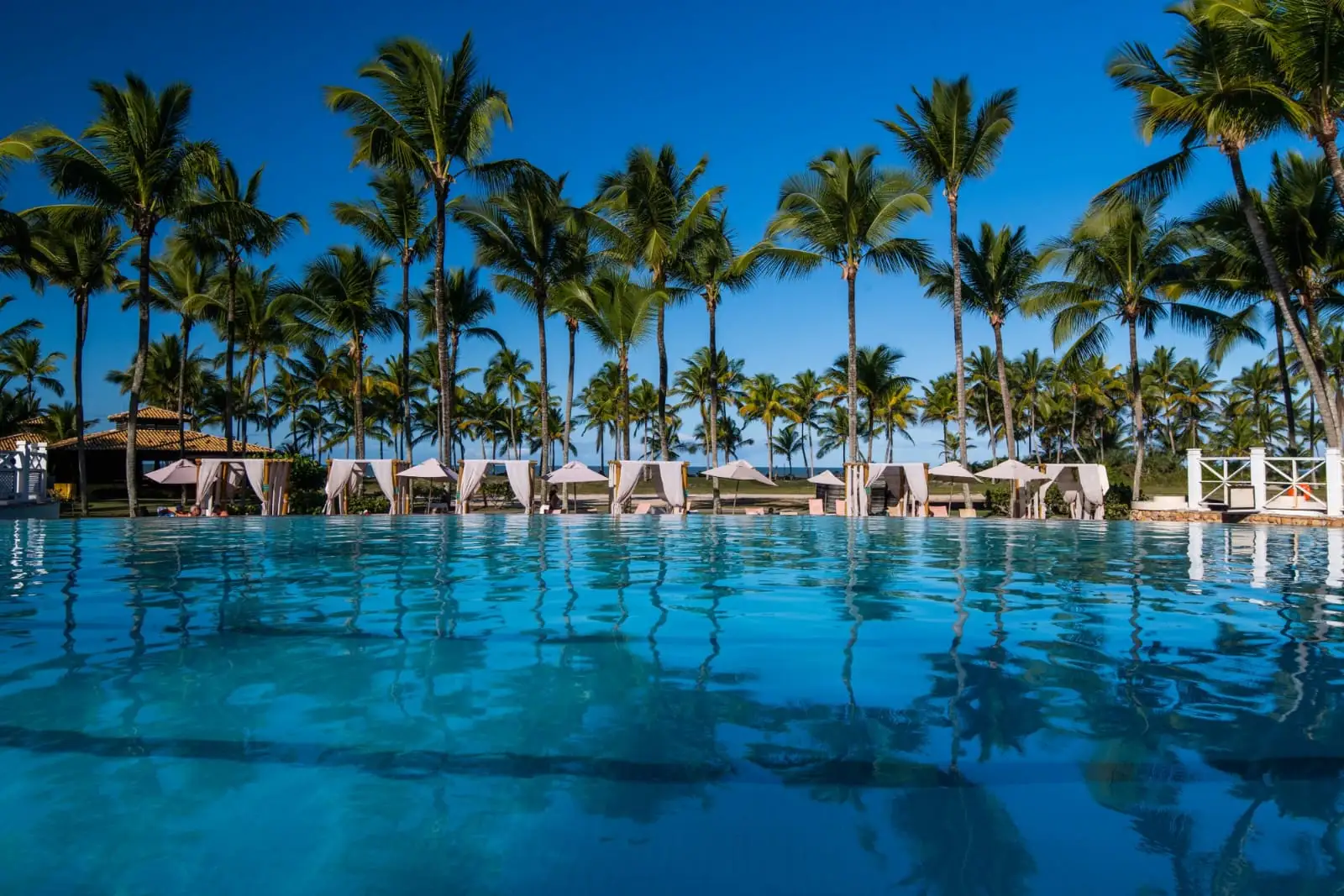 Piscina ampla em resort cercada por coqueiros