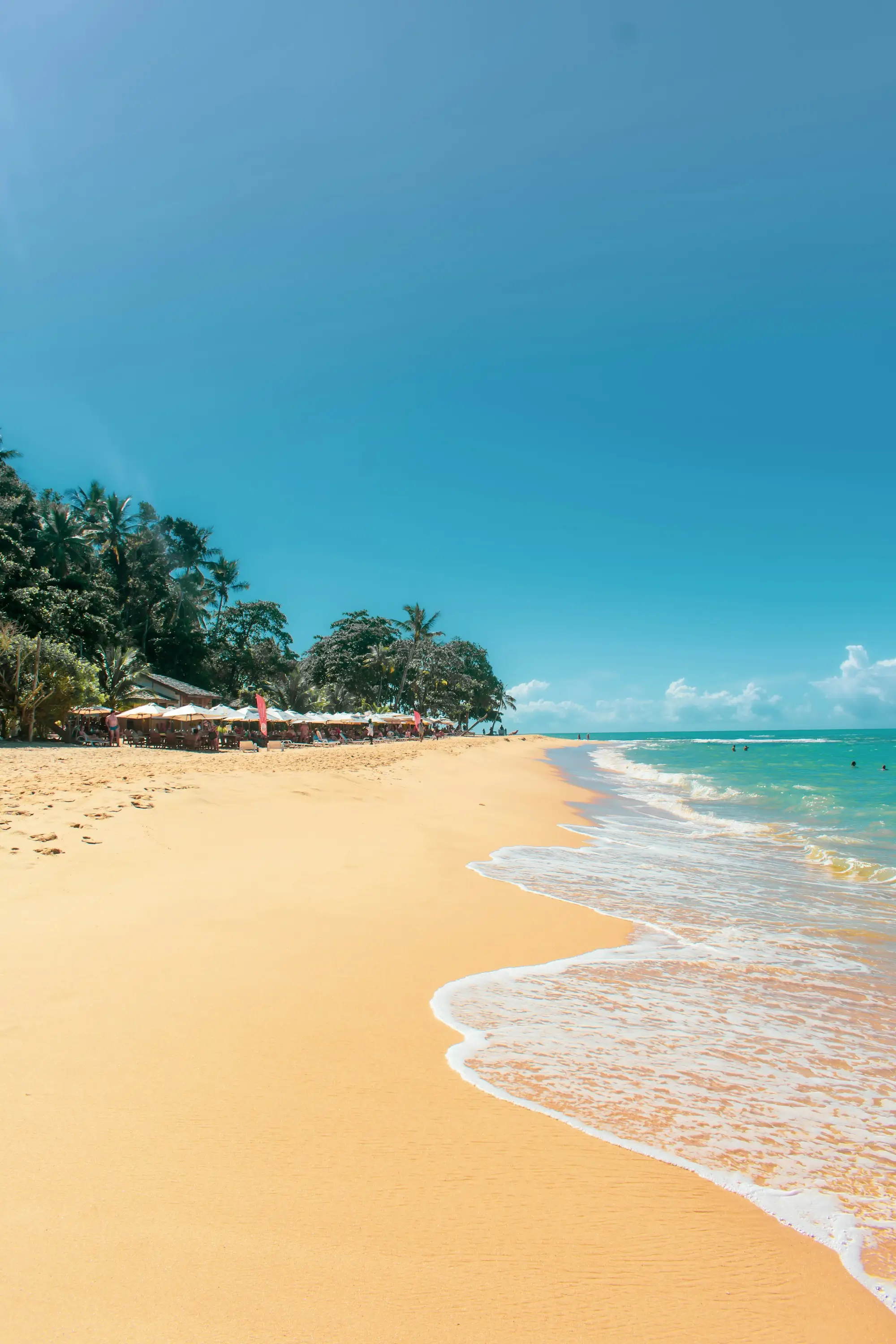 Praia de areia clara com coqueiros no litoral baiano