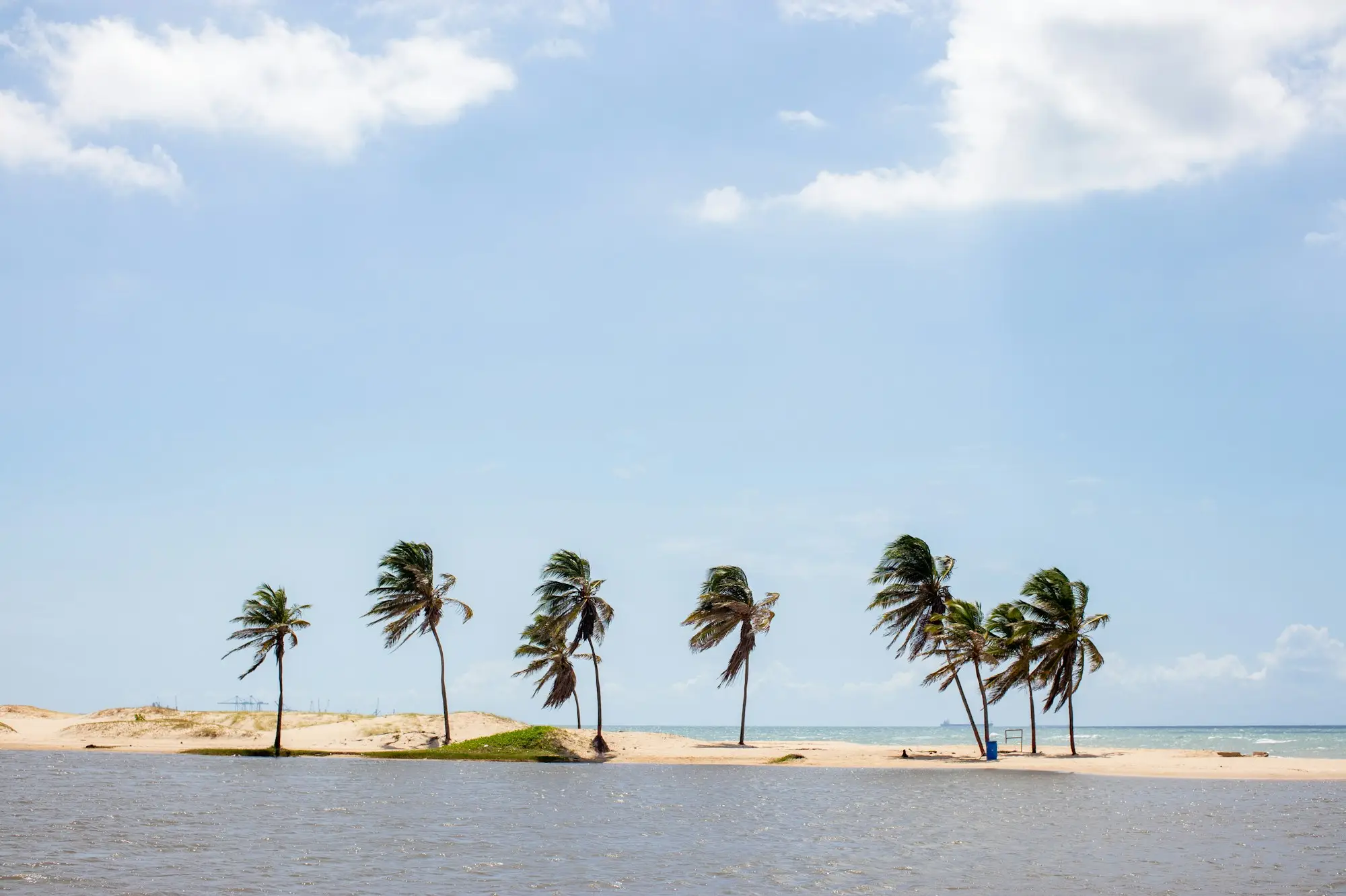 Coqueiros à beira de um banco de areia em Sergipe
